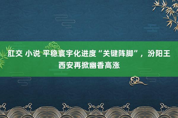 肛交 小说 平稳寰宇化进度“关键阵脚”，汾阳王西安再掀幽香高涨