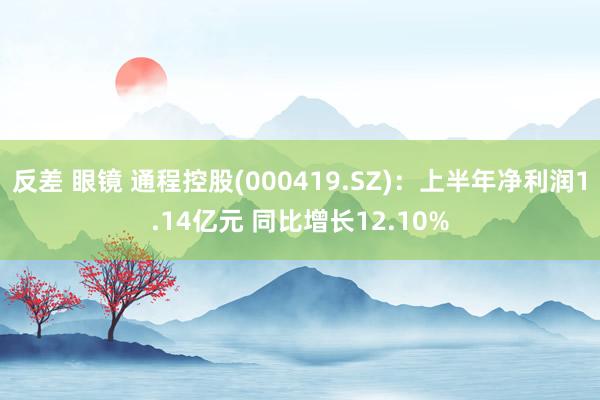 反差 眼镜 通程控股(000419.SZ)：上半年净利润1.14亿元 同比增长12.10%