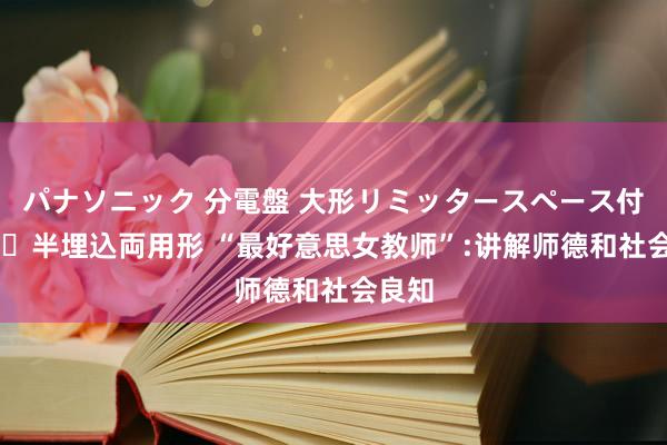 パナソニック 分電盤 大形リミッタースペース付 露出・半埋込両用形 “最好意思女教师”:讲解师德和社会良知